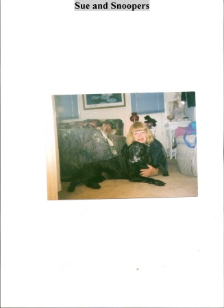 Susan Hoff Photo 27