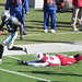 Brandon Robinson Photo 33
