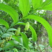 Heidi Flora Photo 4