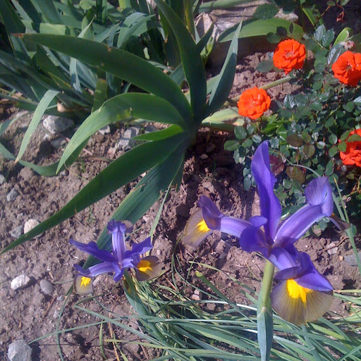 Mary Clement Photo 35