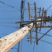 Frederick Powers Photo 11