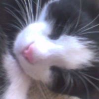 Gloria Roque Photo 18