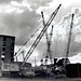 Charles Barry Photo 40