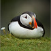 Andrew Wicks Photo 26