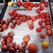 Paul Farmer Photo 49