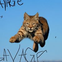Daniel Savage Photo 19