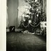 Barbara Hine Photo 17