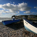 Sue Wight Photo 4