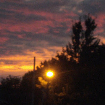 Lori Pittman Photo 9
