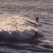 Eddie Hughes Photo 15