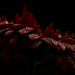 Jason Gerber Photo 31