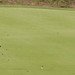 Erik Poole Photo 8