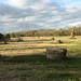 Tom Francois Photo 10