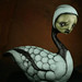 Scott Swan Photo 18