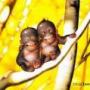 Ruth Stover Photo 15