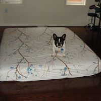 Timothy Davison Photo 24 Timothy Davison Photo 24