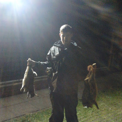 Steven Robins Photo 5
