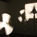 Cecilia Moore Photo 16