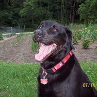 Nancy Meissner Photo 9