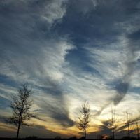 Susan Hupp Photo 12