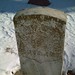 Thomas Fleming Photo 33