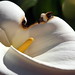 Phillip Lilly Photo 10