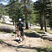 Sean Meadows Photo 41