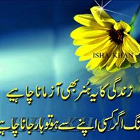 Mahmood Bhatti Photo 6