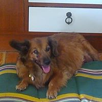 Panagiotis Mavros Photo 3