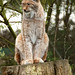 Jackie Howlett Photo 9
