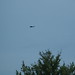 Milton Gross Photo 7