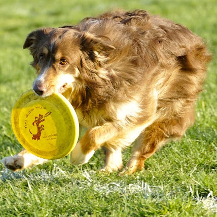 Mark Washburn Photo 24
