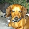 Cathy Richardson Photo 33