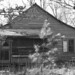 Debbie Gaston Photo 16