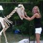 Jill Mcnamara Photo 43