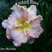 Lucile Martin Photo 17