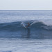 Johnathan Powell Photo 12