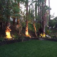 Judy Mccrary Photo 24