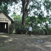 Agnes Newton Photo 9