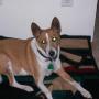 Laurie Thurman Photo 12