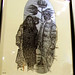 Darryl Cook Photo 28
