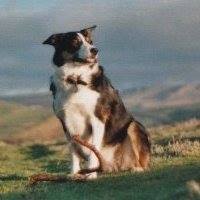 Brenda Turrell Photo 5