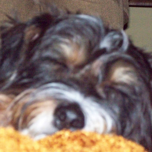Susan Darrow Photo 6