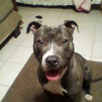 Debra Meeks Photo 24