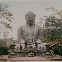 Scott Wyman Photo 15
