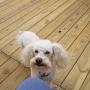 Debbie Guenther Photo 15