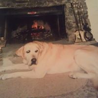 Carol Welsh Photo 12