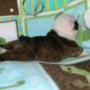Glenda Estes Photo 9