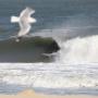 Clifton Rogers Photo 27