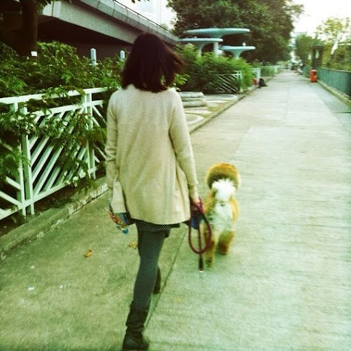 Alice Chong Photo 8